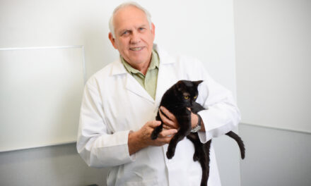 Cercetarea unui tratament pentru peritonita infecțioasă felină (PIF), salvează vieți umane