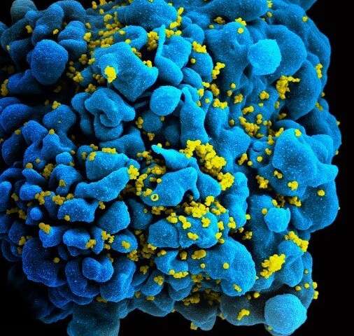 Medicamentul imunomodulator Fingolimond, aprobat pentru tratamentul sclerozei multiple, blochează infecția cu HIV