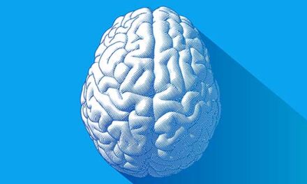 Un circuit cerebral din talamus ajută la păstrarea informațiilor în minte