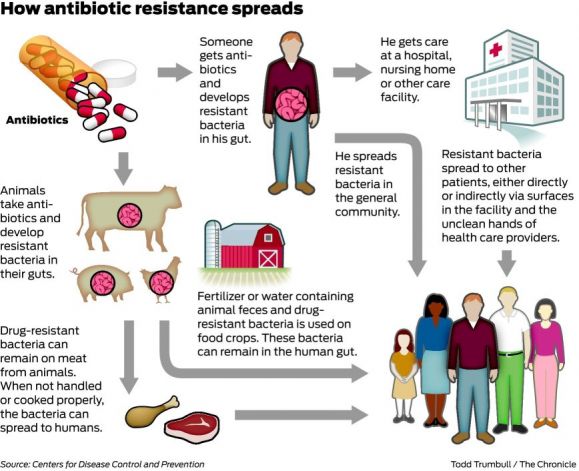 Cum se răspândește rezistența la antibiotice – Infografic