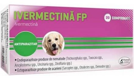 Colegiul Medicilor Veterinari recomandă cetăţenilor să nu utilizeze medicamente veterinare ce conţin ivermectină în baza propriei decizii