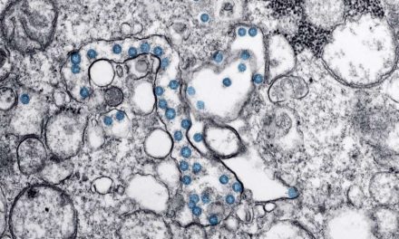 Coronavirus: Cercetători spanioli au creat un nanomaterial care elimină virusul şi ar putea fi utilizat la măştile sanitare