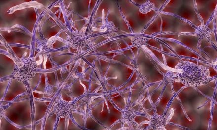 Oamenii de știință au descoperit neuroni care detectează și răspund la schimbările nivelului de zahăr din sânge