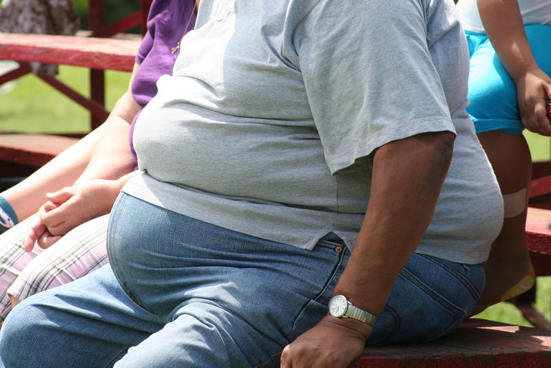 Cauza invizibilă a obezității
