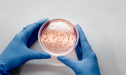 Terapia cu microorganisme, folosită cu succes pentru distrugerea bacteriilor rezistente la antibiotice