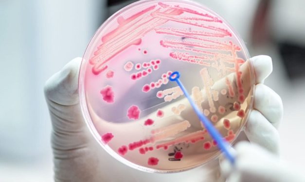 O nouă peptidă ar putea preveni criza creată de superbacterii